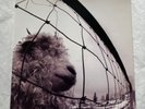 1993 PEARL JAM Vs. 2-LP Grunge Rock - EPIC NM-