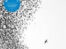 WILCO SKY BLUE SKY NEW LP