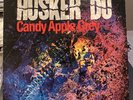 HUSKER DU Candy Apple Grey LP ORIGINAL 1986 Pressing/First Pressing SRC