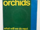 ORCHIDS Three Song E.P.  7