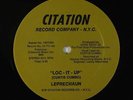 Leprechaun - Loc-It-Up 12