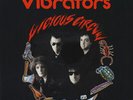 The Vibrators - Vicious Circle - Used Vinyl Record - V7426S