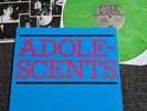 Adolescents  LP Punk Rock Vinyl Circle Jerks Bad Religion Descendents