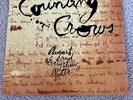 Counting Crows AUGUST AND EVERYTHING AFTER 180 Gram VINYL 2 LP Record No Reserve