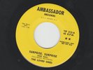 GARAGE FUZZ 45 - LOVED ONES - SURPRISE SURPRISE -HEAR -1966  PROMO AMBASSADOR
