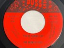 The Berkley Five - You're Gonna Cry original Florida Garage Rock 45 Boss BOS 004