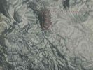 Felt - Ignite The Seven Cannons | [Black Vinyl LP] | Cherry Red