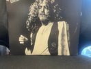 Led Zeppelin Kooyong Tennis Courts Live Vinyl