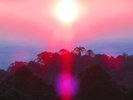 Grouper - Paradise Valley / Vinyl 7