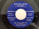 '56 Ohio Bluegrass 45 LOGAN VALLEY BOYS Rock & Roll Country Style EXCELLENT hear