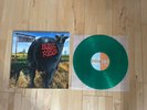 BLINK 182- Dude Ranch Limited Edition Vinyl