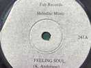 FEELING SOUL Bob Andy FAB RECORDS Melodisc FAB241 1972 Vinyl 7” Single