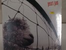 PEARL JAM VS SEALED  VINYL RECORD