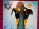 Big Country Why The Long Face 1995 Vinyl Near Mint Rare