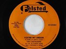 Doo-Wop R&B 45 - Castaleers - You're My Dream/I'll Be Around - Felsted