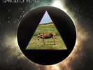 Dark Side Of The Mule by Gov't Mule (Record, 2023) Free US Shipping Sealed