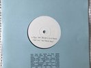 Mala Theo Parrish Remix  - Vinyl 10” Rare