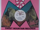 GRANDMASTER FLASH & THE FURIOUS FIVE The Message SUGARHILL SH-584X 12