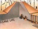 Pavement Range Life 7
