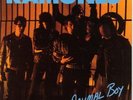ANIMAL BOY - RAMONES BRAND NEW 2022 LP VINYL RECORD REISSUE