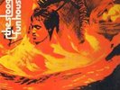 The Stooges Fun House RED LABELS NEAR MINT Elektra Vinyl LP