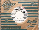 GALEN DENNY What Ya Gonna Do/Gonna Build a Rocket ROCKABILLY DJ 45 *hear*