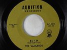 Surf Inst. 45 - Vaqueros - Echo/Desert Wind - Audition