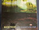 Buckethead A Real Diamond In The Rough Vinyl (Non-Autographed)
