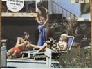 Lovefool - White Vinyl Cardigans UK Limited Edition 7