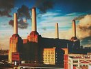 Pink Floyd Animals (Vinyl) (US IMPORT)