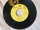 45 RPM GARAGE ROCK/TERRY LEE & THE REVELERS/HEY BABY. HEY SUGAR/PART III  VG++