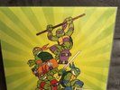 Teenage Mutant Ninja Turtles TMNT 1 & 2 Soundtrack - VGM Vinyl LP  Not Moonshake