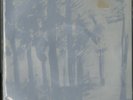 Harriet 007 The Magnetic Fields, 100,000 Fireflies 45rpm 7