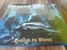 Grave Digger Healed By Metal 2016 LP Vinyl / SEALED