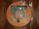 Slayer picture disc Hell Awaits Limited Edition Numbered  Vinyl Record 1985