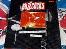 THE BUZZCOCKS 