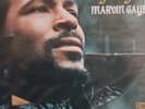 What's Going on by Gaye, Marvin (Record,1971)