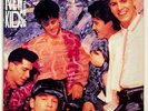 ORIGINAL Vtg 1990 NKOTB Album STEP BY STEP Record 1ST PRESS Vinyl Lp NEAR MINT
