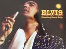 Elvis Presley - Standing Room Only - FTD 2 LP Set - Out Of Print - LAST COPY
