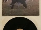 Pink Floyd THE DARK SIDE OF THE MOO LP the screaming abdabs NUOVO