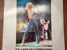 LED ZEPPELIN TRAMPLED UNDER FOOT