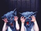 Temper Trap Thick As Thieves 12