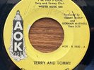 TERRY & TOMMY: I'm No Fool 45 AOK Texas moody garage rock MP3 hear