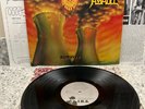 Nuclear Assault – Survive ; 1988 LP PROMO W/INSERTS (PLAYTESTED)