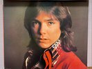 Partridge Family Featuring David Cassidy CROSSWORD PUZZLE JAPAN LP obi BLPM-17