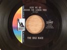 The Idle Race Here We Go Round The Lemon Tree/My Father's Son Psych Pre ELO