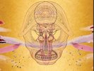 Devendra Banhart What Will Be