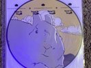 Andrew Jackson Jihad AJJ People Who Can Eat People Vinyl 12” Picture Disc