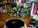 SAVOY BROWN ( A STEP FURTHER ) ORIG 1969 U.S. PSYCH Blues Rock VINYL gatefold LP