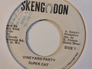SUPER CAT  Vineyard Party SKEND DON Killer  Rub A Dub Deejay Reggae 7